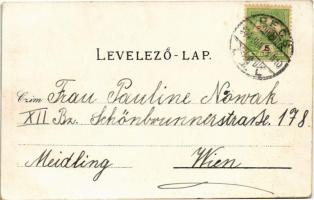 1904 Pécs, Zsolnay porcelángyár. Fürst Lipót kiadása (kis szakadás / small tear)