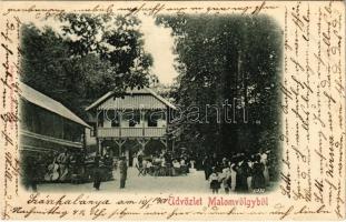 1901 Szászkabánya, Németszászka, Sasca Montana; Mühlthal / Malomvölgy, Vendéglő / Cheile Susarei, hotel and restaurant (kis szakadás / small tear)