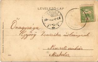 1906 Miskolc, Alsó-Hámor, Alsóhámor. Ferenczi B. kiadása (EK)