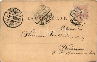 1899 (Vorläufer) Horgos, Kamaráserdő; Artézi tó a híddal. Czapik Gyula kiadása / lake, bridge (vágot...