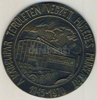1970. "A kábelipar területén végzett hűséges munkáért" nagyalakú Br plakett, díszdobozban + DN Nőt ábrázoló Br kisplasztika díszdobozban T:2