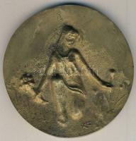 1970. "A kábelipar területén végzett hűséges munkáért" nagyalakú Br plakett, díszdobozban ...