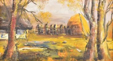 Máthé Márk Eduárd (1967-): Lajosmizse - tájkép. Olaj, farost, jelzett. Dekoratív, kissé sérült fa ke...