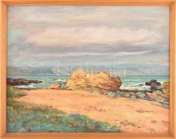 Pintye Rudolf (1902 - ): Santiago Beach. Olaj, vászon, fakeretben,, 50×65 cm