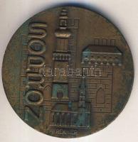 1977. "Sopron" nagyalakú Br plakett. Szign.Renner T:2-