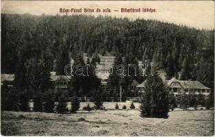 1910 Biharfüred, Stana de Vale, Stina de Vale; látkép / general view (EK)
