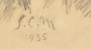 Spányik Kornél (1858-1943): Önarckép, 1935. Szén, papír, jelzett, papíron apró foltok. Üvegezett, sé...