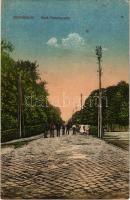 1919 Zsombolya, Jimbolia; Deák Ferenc utca / street view (r)
