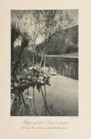 cca 1918 A világháború képes albuma. Az Érdekes Újság háborús képeiből (kb. 60 db képpel). Heliograv...