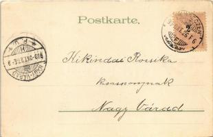 1899 (Vorläufer) Children cathing butterflies. Koch & Palm litho (EK)