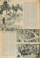 1944 Képes Vasárnap 7. sz., 1944. febr. 15., fekete-fehér képekkel illusztrálva, kissé szakadozott l...