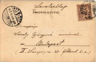 1901 Greeting art postcard with angel. litho (EK)