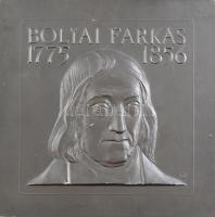 Gergely István (1939-2008): Bólyai Farkas 1775-1856. Festett gipsz plakett. Jelzett, kopásokkal. 30x30 cm