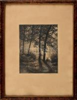 Rüdiger jelzéssel: Az erdő fényei. Rézkarc, papír. Dekoratív, üvegezett fa keretben. 20x15 cm