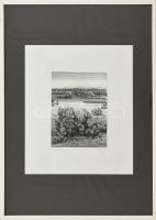 Franz Bayer (1932-): Táj. Rézkarc, papír. Jelzett. Számozott (158/500). Üvegezett műanyag keretben. 14x11 cm
