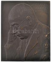 Róna József (1861-1939) ~1933. Dr. Dános Árpád 1882-1933 egyoldalas bronz plakett (63x53mm) T:1-