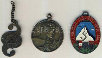 Kis vegyes tétel, benne érmek, gombok, kitűzők T:vegyes