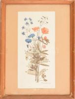 Csurgói Máté Lajos (1931-2001): Mezei virágok. Színes rézkarc, papír, jelzett, lap alja kissé foltos, üvegezett fakeretben, 39×19 cm