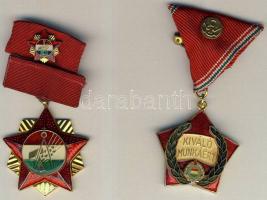 "Kiváló munkáért" + "Szakszervezetek Országos Tanácsa Elnökség" kitüntetések, mindkettő díszdobozban T:2