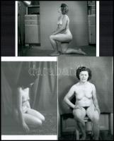 Akt felvételek az 1970-es évekből, vegyes kollekció, 9 db mai nagyítás, 15x10 cm
