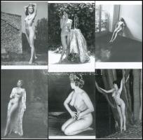 Több aktfotós hagyatékából válogatott vegyes összeállítás szolidan erotikus fotókból, különböző időpontokban készült felvételek, 9 db mai nagyítás, 15x10 cm