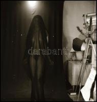 Menesdorfer Lajos (1941-2005) budapesti fotóművész hagyatékából, 5 db vintage NEGATÍV az aktfényképe...