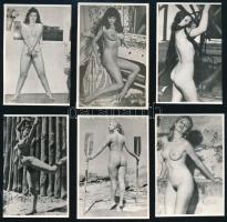 cca 1966 Fekete György (1904-1990) budapesti fényképész hagyatékából 11 db fotó, szolidan erotikus hölgyekről, a férfitárcák titkos rekeszeibe, 9x6 cm
