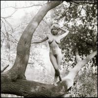 Menesdorfer Lajos (1941-2005) budapesti fotóművész hagyatékából, 7 db vintage NEGATÍV és 2 db vintag...