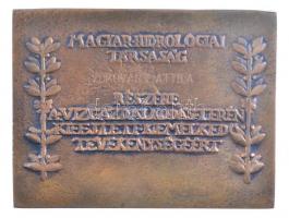 ~1970-1980. "Vásárhelyi Pál Díj - A reformkor nagy vízmérnöke 1797-1846 / Magyar Hidrológiai Tá...