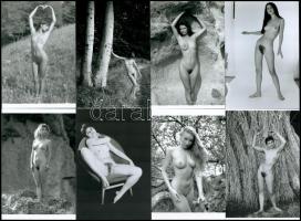 cca 1932 és 1985 között, eltérő időben készült szolidan erotikus felvételek, 13 db mai nagyítás több aktfotós vintage negatív gyűjteményéből, 10x15 cm