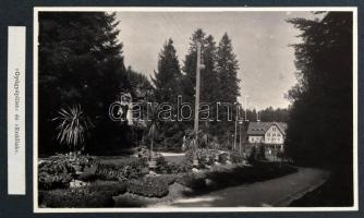 cca 1910 Marilla Subalpin Magaslati Gyógyhely Sanatorium. Ideg- és nem tuberkulotikus légzőszervi betegek részére. Bp., én., Hornyánszky V.-ny. 1 sztl. lev.+6 (táblánként két fekete-fehér fotóval, összesen 12 fotó) sztl. lev. Kiadói szecessziós dúsan aranyozott egészvászon-kötés, Gottermayer-kötés, a gerincen kis folttal, egy helyen apró szakadással, a borítón kis kopásnyomokkal.   Hainiss Elemér (1890-1974) orvos, gyermekgyógyász, egyetemi tanár ajándékozási bélyegzésével.