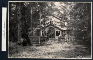 cca 1910 Marilla Subalpin Magaslati Gyógyhely Sanatorium. Ideg- és nem tuberkulotikus légzőszervi be...