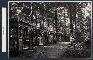 cca 1910 Marilla Subalpin Magaslati Gyógyhely Sanatorium. Ideg- és nem tuberkulotikus légzőszervi be...