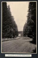 cca 1910 Marilla Subalpin Magaslati Gyógyhely Sanatorium. Ideg- és nem tuberkulotikus légzőszervi be...