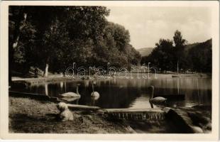 1946 Trencsénteplic, Trencianske Teplice; Labutie jazero na Baracke / Baracskai tó / lake