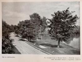 Dienes András: A legendák Petőfije. (Táj és emlékezés). Bp., 1957, Magvető, 280 p. Oldalszámozáson k...