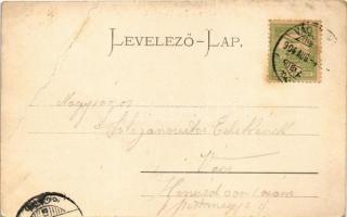 1904 Vrátna, Vág völgye. Gansel Lipót 37. / Das Waagthal / Váh river valley (fa)