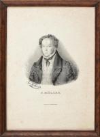 A. Müller jelzéssel: P. Müller portréja. Litográfia, papír, jelzett a litográfián. Foltos. Üvegezett, kissé kopott fa keretben. 31x23 cm