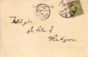 1905 Sziszek, Sisak, Sissek; Ladjarska ulica / utca / street