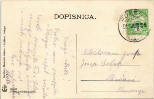 Pozsega, Pozega; Orljavski most, Kr. vel. gimnazija, Thallerova koliba / híd, gimnázium, villa / bri...