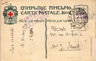 1906 Moscow, Moscou; Jardin Ermitage / garden, park. TCV card