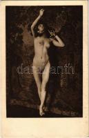 Erotic nude lady art postcard. Phot. Scheiberth (EK)