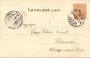 1900 Lady art postcard. Klein V. Floral litho (EK)