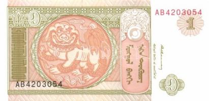 Mongólia 1955-2005. 16 klf bankjegy T:I