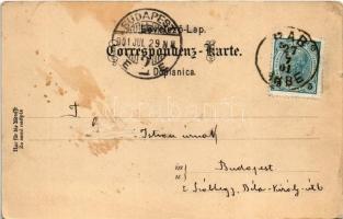 1901 A Magyar-Horvát Tengeri Gőzhajózási Rt. "Liburnia" egycsavaros tengeri személyszállít...