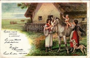 1900 Csikós vagyok, csikósnak is születtem. Magyar folklór művészlap. Neuber Ráfael műkiadása S. 20. / Hungarian folklore art postcard (kis szakadás / small tear)
