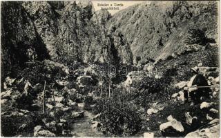 1917 Tordai-hasadék, Cheile Turzii, Torda, Turda; Részlet a Torda hasadékból. Füssy József kiadása / gorge, mountain pass