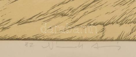 Németh András (1941-): Nagy-Kevély. Színes linó, papír, jelzett, üvegezett fakeretben, 22x44 cm