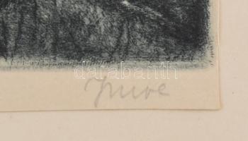 ifj. Imre István (1950-): Fák. Rézkarc, papír, jelzett, körbevágva, papírra kasírozva, 24,5×29 cm