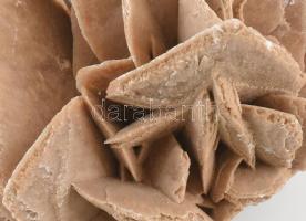 Nagy méretű Sivatagi rózsa, 14x14x10cm